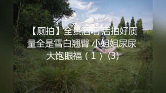 【厕拍】全景酒吧 后拍好质量全是雪白翘臀 小姐姐尿尿 大饱眼福（1） (3)