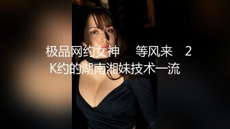  极品稀缺极限露出露出界女神琳琳最新内部私拍专享 电梯啪啪招电梯开门的路人揩油摸B