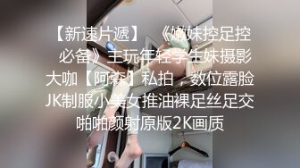 《极品反差✿淫妻泄密》推特火爆淫荡翘臀骚母狗【芬姬夏妓】不雅私拍全集，公园露出调教野战潮喷大号道具紫薇淫水泛滥