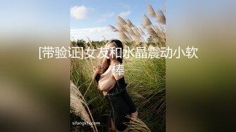 [带验证]女友和水晶震动小软棒