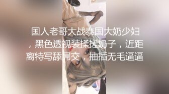  国人老哥大战泰国大奶少妇，黑色透视装揉搓奶子，近距离特写舔屌交，抽插无毛逼逼