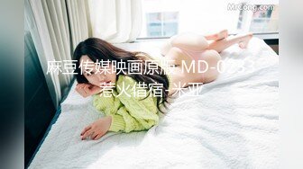 麻豆传媒映画原版 MD-0233惹火借宿-米亚