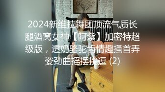 2024新维拉舞团顶流气质长腿酒窝女神【阿紫】加密特超级版，透奶骆驼齿情趣搔首弄姿劲曲摇摆挑逗 (2)