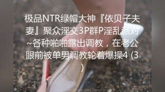 沈阳微露脸后入外射荡妇女警前女友