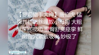 百度云泄密系列 上海浦東高顏值美乳極品大奶寶媽泄密[174P+5V/864M]