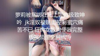 高能预警！比女人还女人极品网红CDTS【sehe】私拍，能攻能守3P4P真男假女混乱性交人体蜈蚣，相当淫乱视觉盛宴