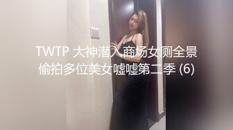 TWTP 大神潜入商场女厕全景偷拍多位美女嘘嘘第二季 (6)