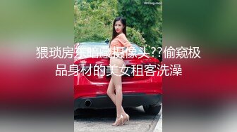 麻豆傳媒 MD0245 爆乳女記者 新人女優 林襄