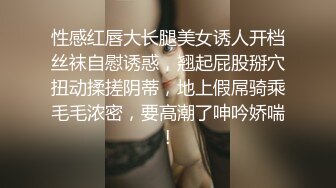 林先生 无套打桩灰背心小骚