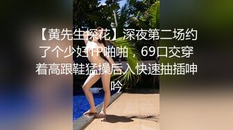 【黄先生探花】深夜第二场约了个少妇TP啪啪，69口交穿着高跟鞋猛操后入快速抽插呻吟