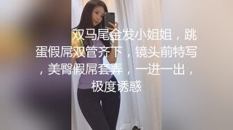 DA-004 大象传媒 火辣女同事的性感诱惑 李娜娜