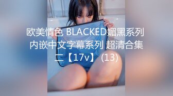 欧美情色 BLACKED媚黑系列 内嵌中文字幕系列 超清合集二【17v】 (13)