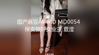 国产麻豆AV MD MD0054 保安强奸女业主 夏滢