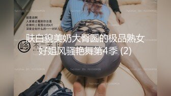 肤白貌美奶大臀圆的极品熟女好姐风骚艳舞第4季 (2)