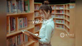 ywb2(7)