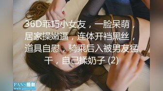 RS-013.巨乳服务生被醉客硬操.麻豆传媒映画X红斯灯影像