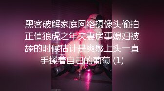 【甜甜小桃花】女仆装，白嫩小少妇，无美颜的镜头下也颇有几分姿色，这黑乎乎的阴毛 (3)