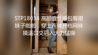 STP18034 高颜值性感包臀裙妹子啪啪，穿上连体开档网袜摸逼口交后入大力猛操