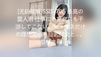 [无码破解]SSIS-706 最高の愛人沼 仕事にも家庭にも干渉してこない、セックスだけの理想関係を巨乳美女と…。 つばさ舞